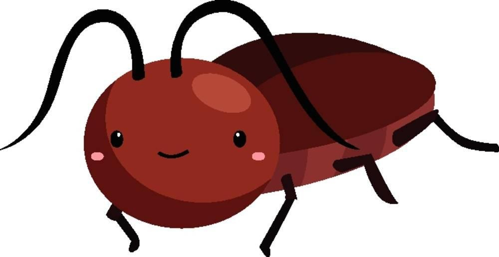 遇到蟑螂,是尖叫吓跑它还是干死它,但如果踩死那麻烦大了