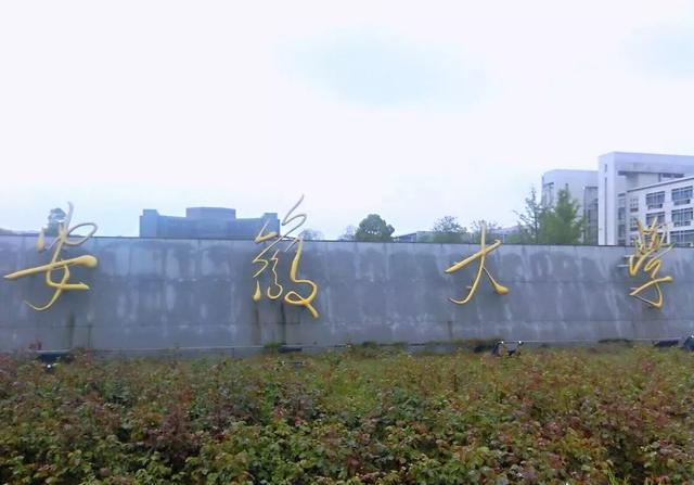 安徽大学法学专业如何?就业前景怎么样?教育达人给了答案!