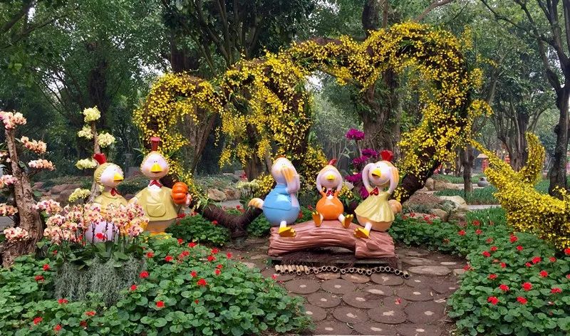 南宁青秀山45万株郁金香新年绽放 约起!