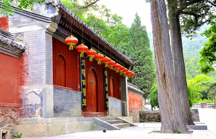 新年要在绿幽幽的环境中过着慢慢的生活,梅州值得一去!