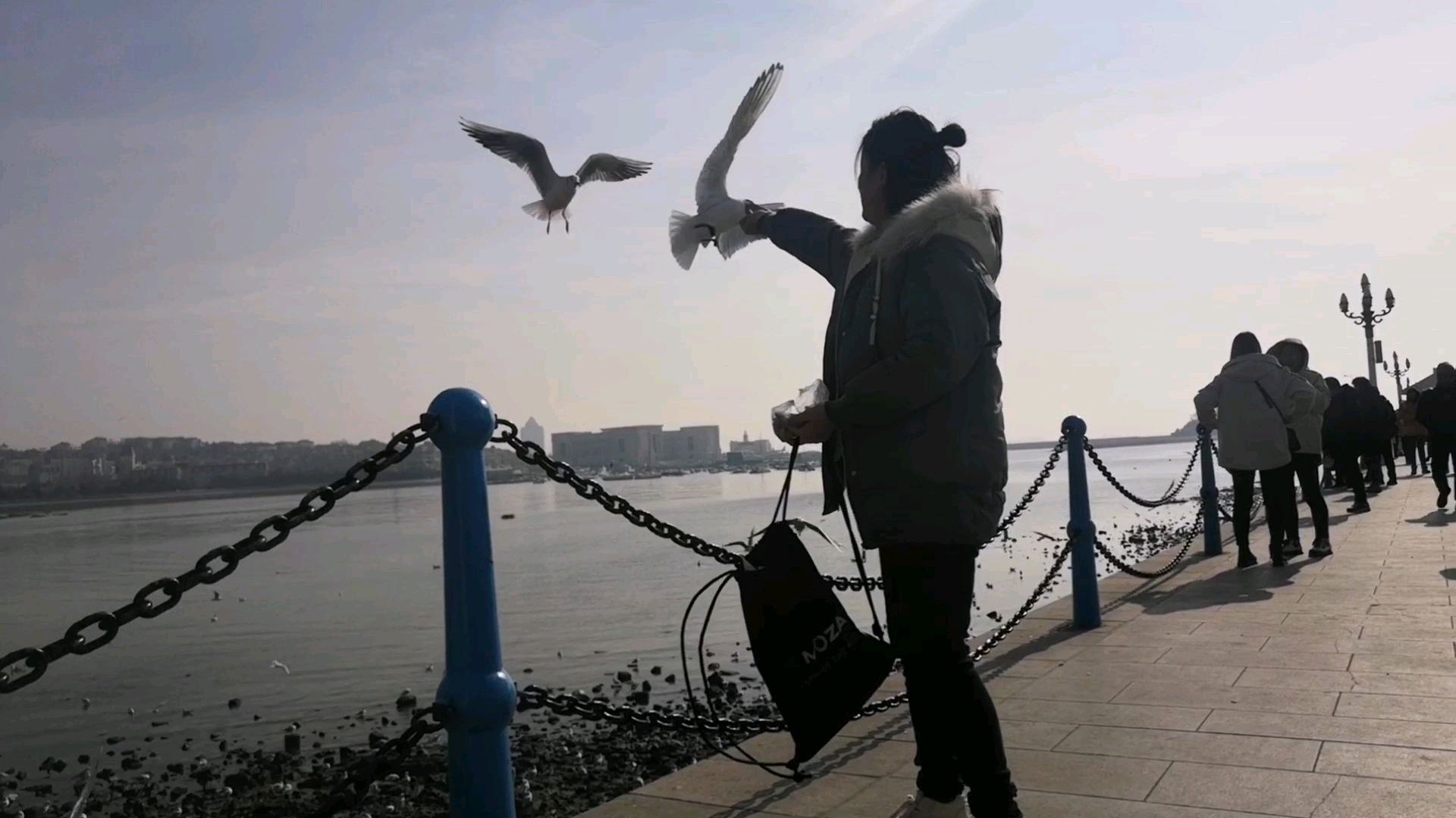 海鸥啊,你可长点心吧!吃那么多你还能飞得起来吗?