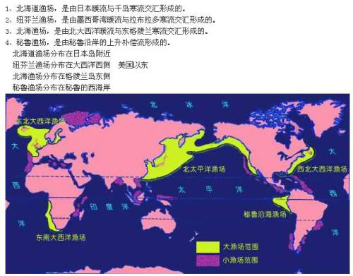 四大渔场,爱吃鱼的宝宝都该知道