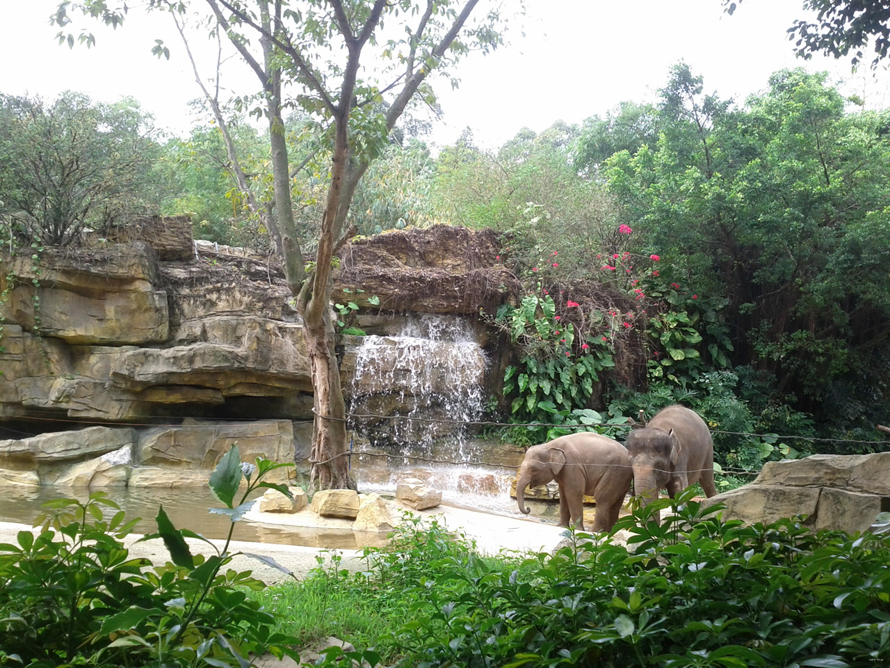 長隆野生動物園