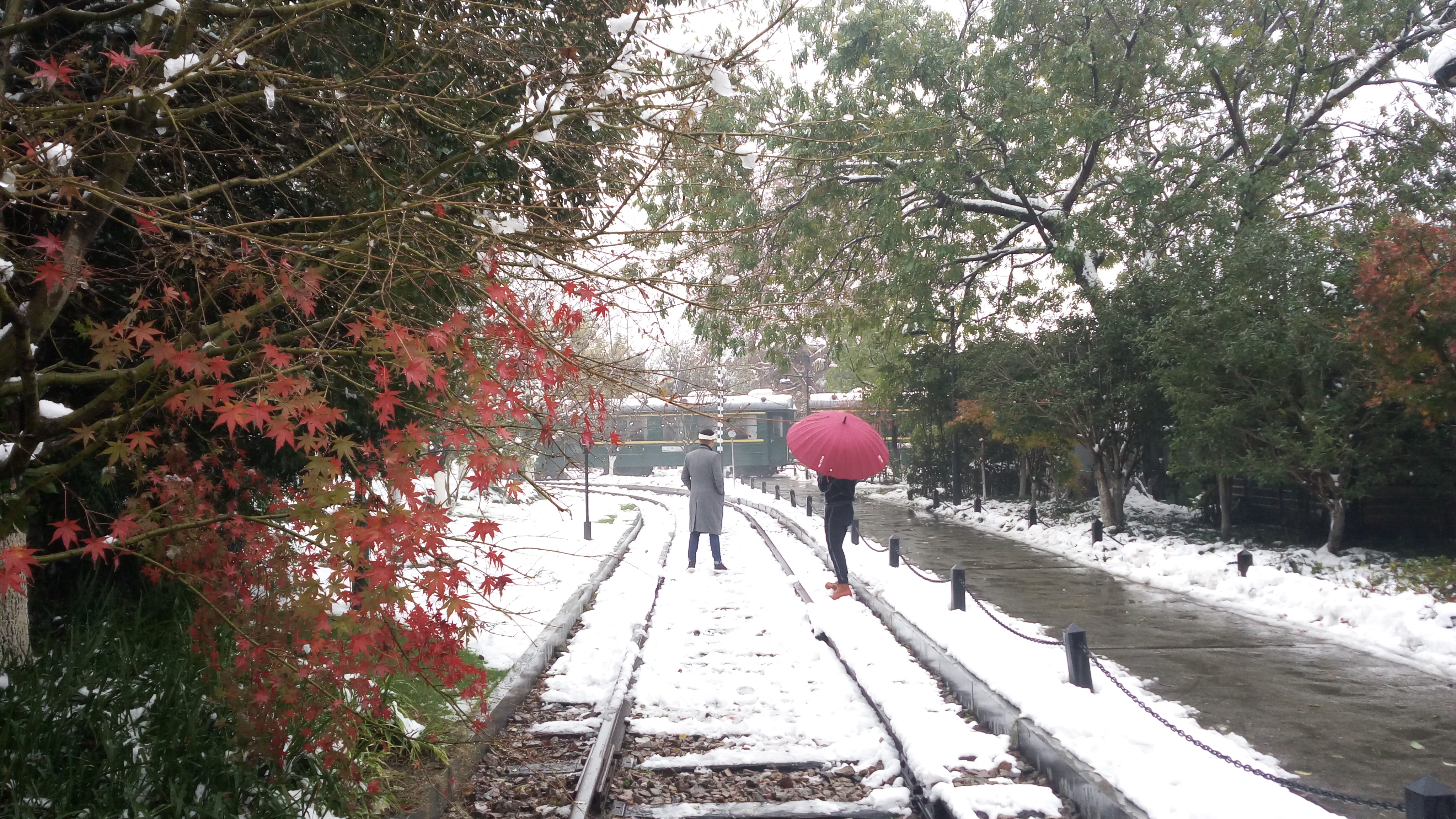 南方冬季初雪,西湖风景美如画卷