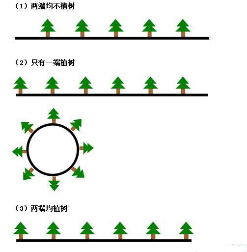 植树问题怎么画线段图图片
