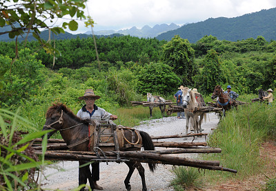 广西防城港:十万大山即将消失的马帮,真的特别可惜