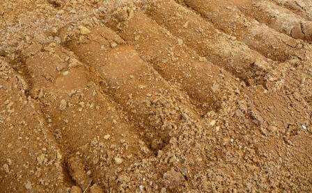 砂壤土颗粒的大小从非常