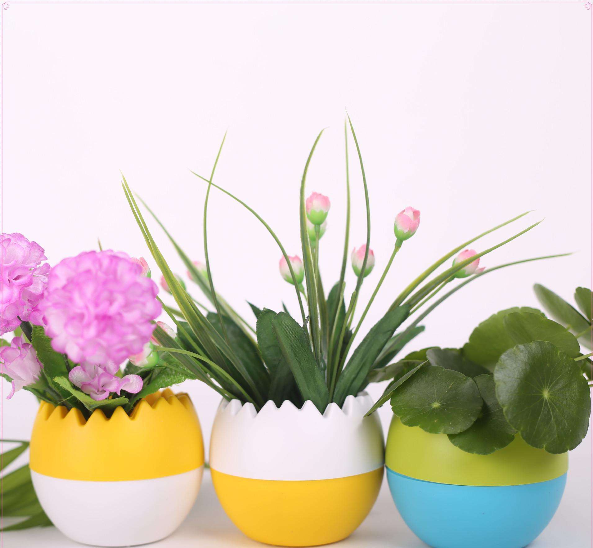 这几款"懒人花",勤快人一般养不好,"懒人"养反而长得好!