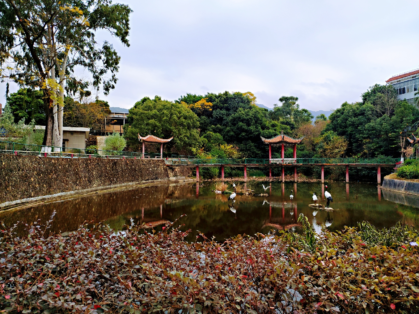 龙岩学院照片校园风光图片