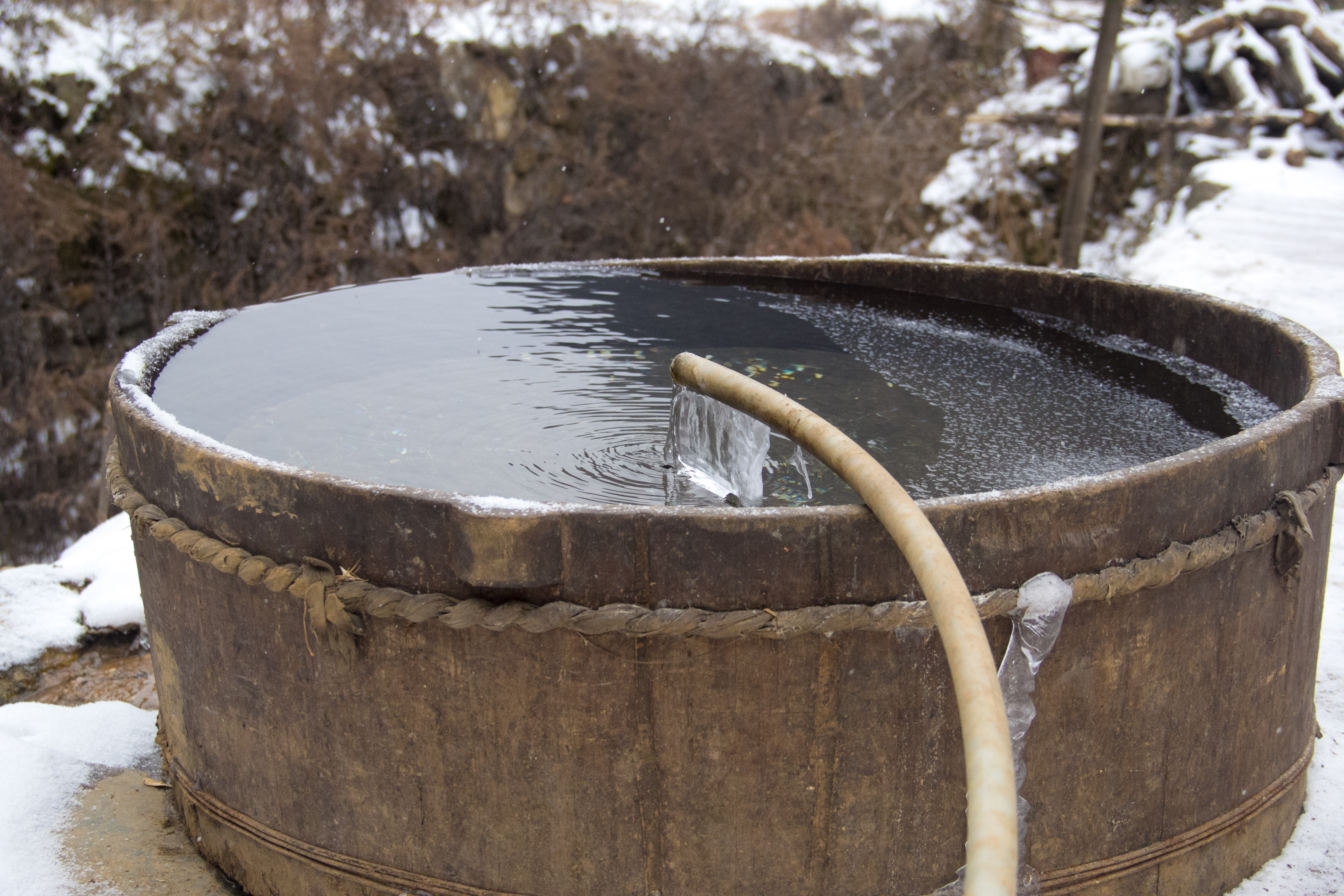 水盆里是一盆清冽的水