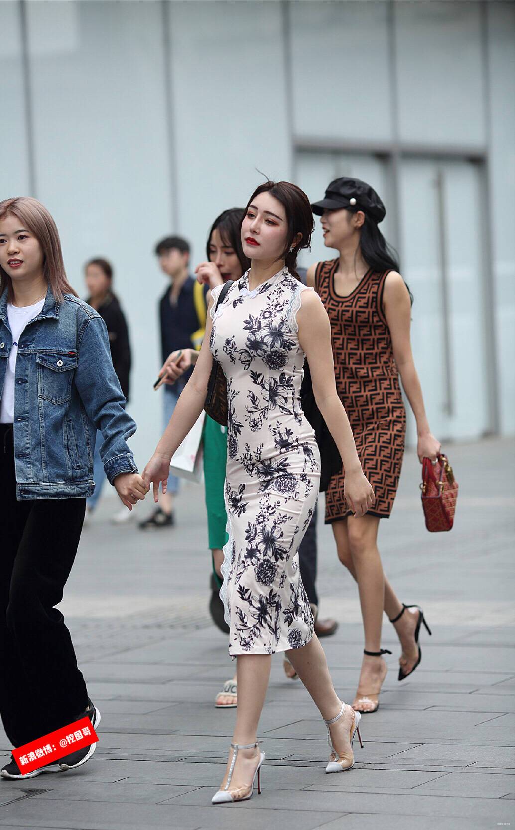 白虎少女动漫动态壁纸-动态壁纸下载-元气壁纸