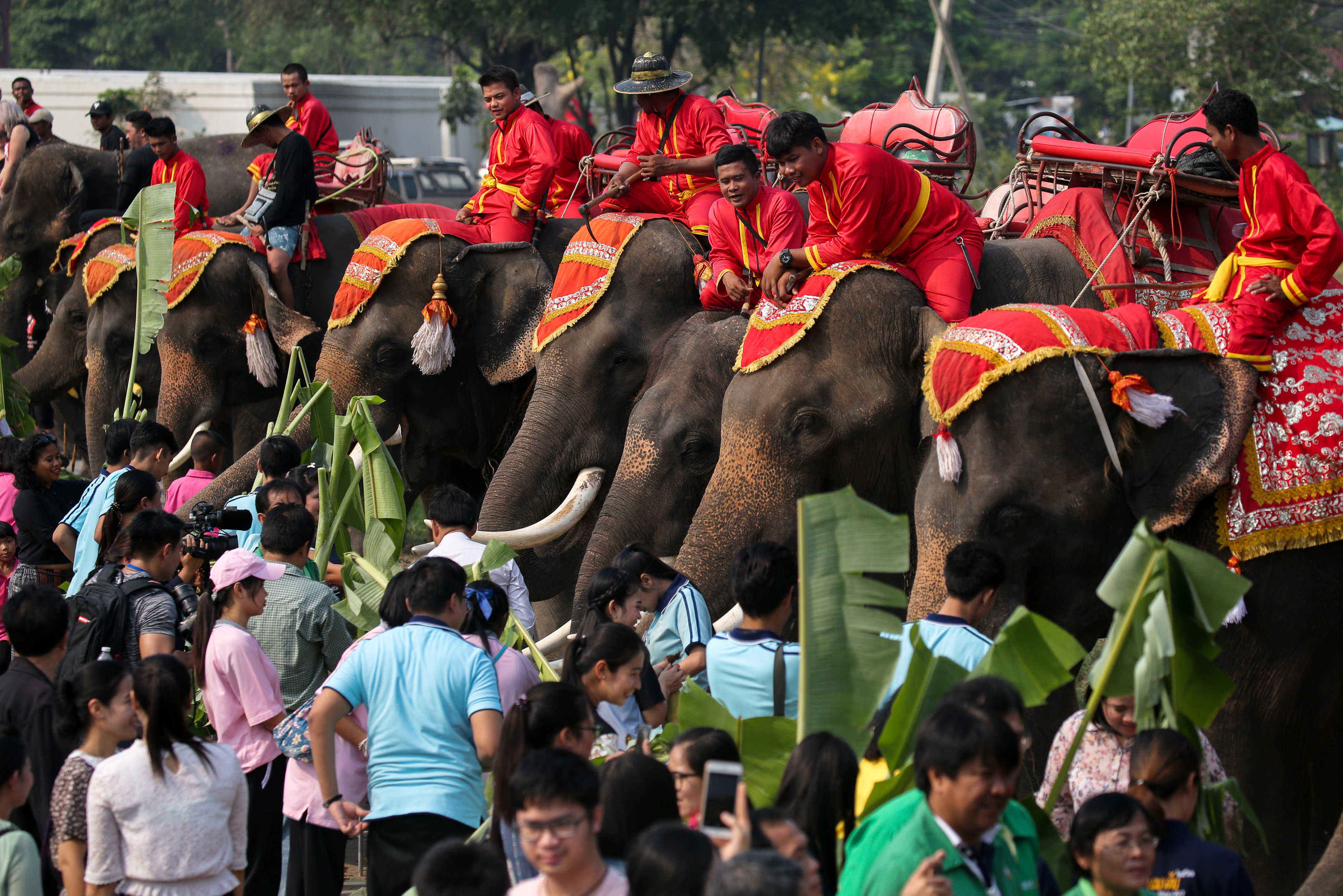 泰国庆祝大象日(2)