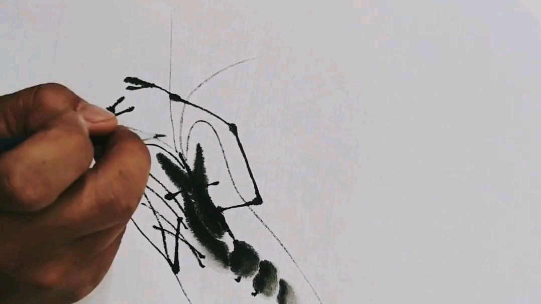 国画水墨虾的画法视频