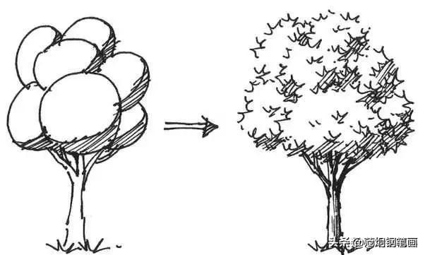 手绘树的表现画法,就是这样简单,一步一步安操作画