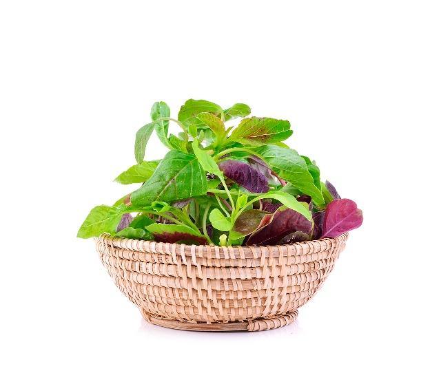 汉菜不能和什么一起吃?汉菜和什么相克?