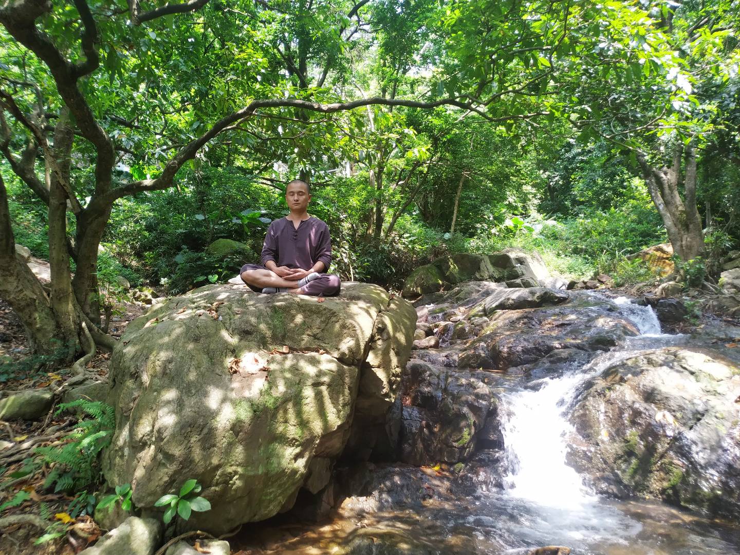 马哈希尊者:禅修的本质