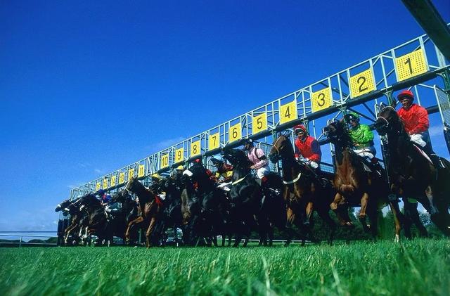 这次,海南真的要赛马了