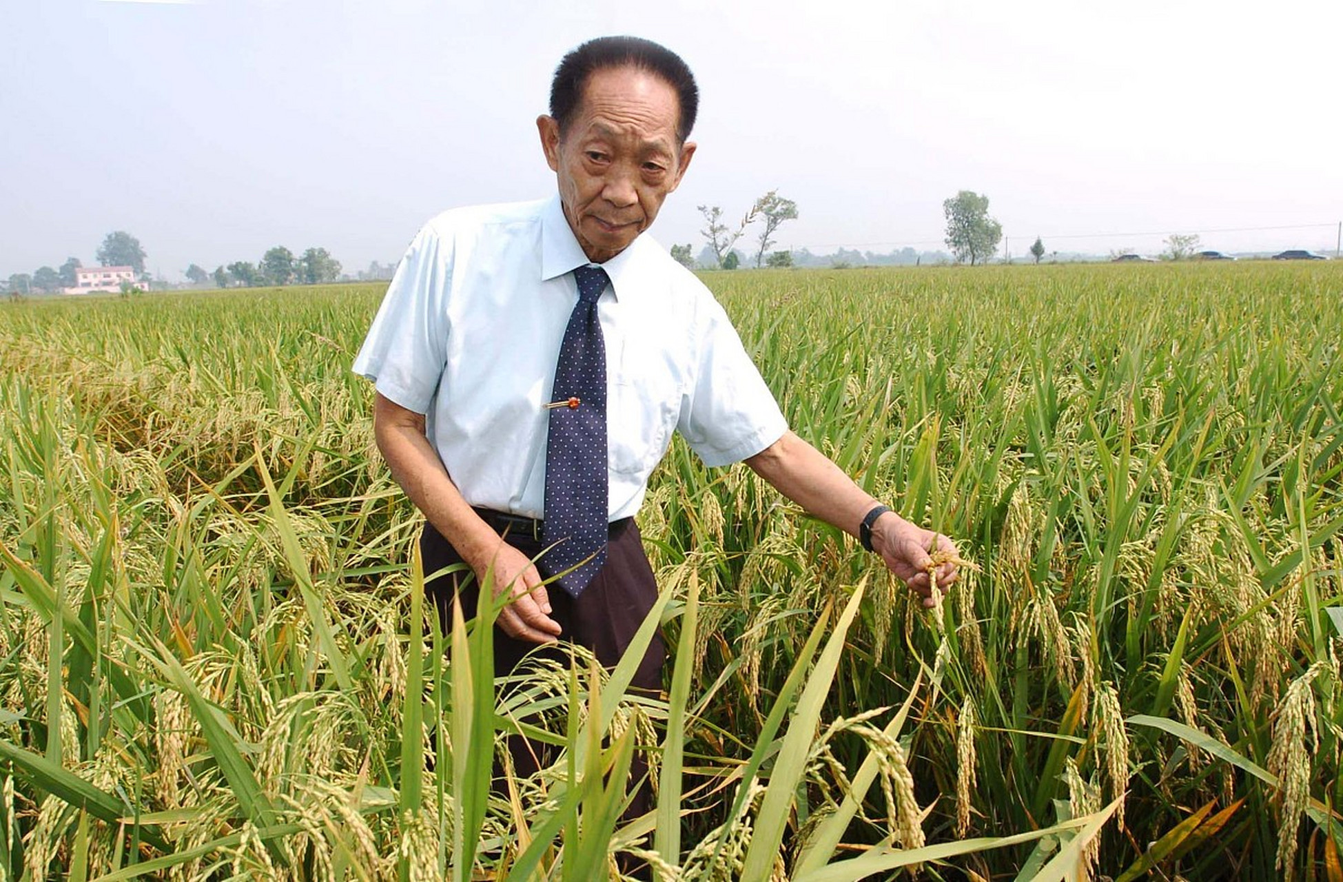 请您停留1秒钟,为伟大的农业科学家点赞