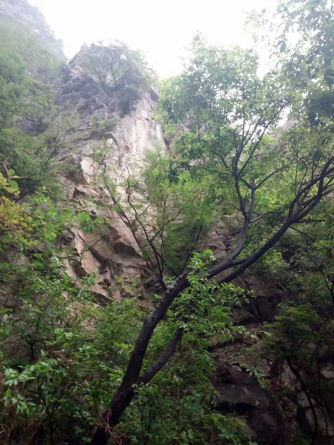 【旅游作家】赵常伟:神农山游记