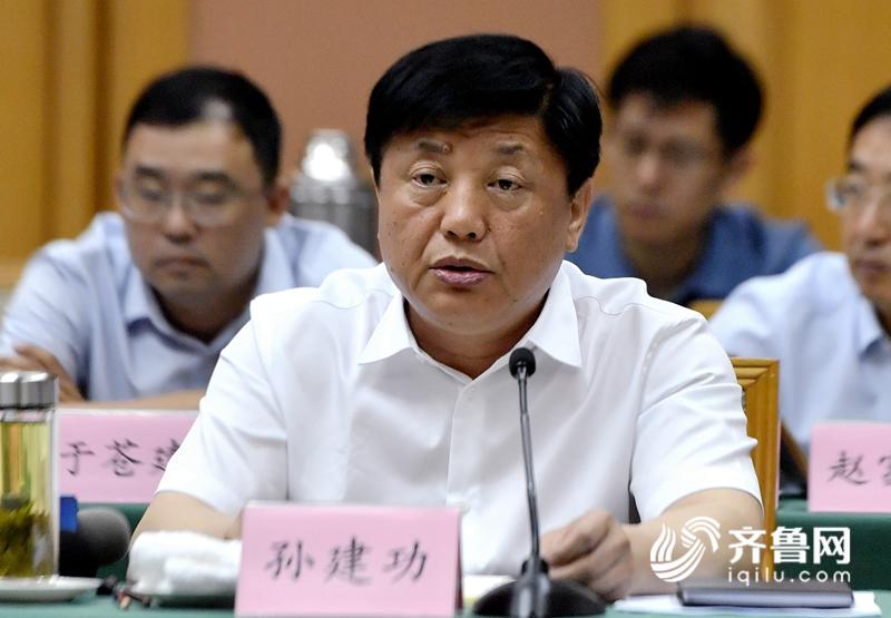 南下归来话改革丨孙建功:打造数字政府 最大程度让企业和群众少跑腿