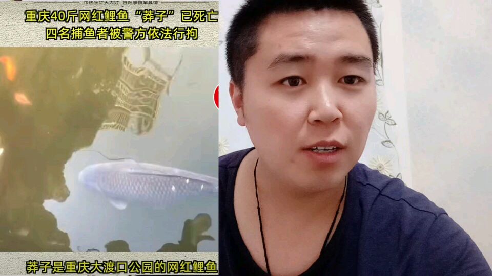 重庆网红鲤鱼莽子,吃了它你是能成仙吗?