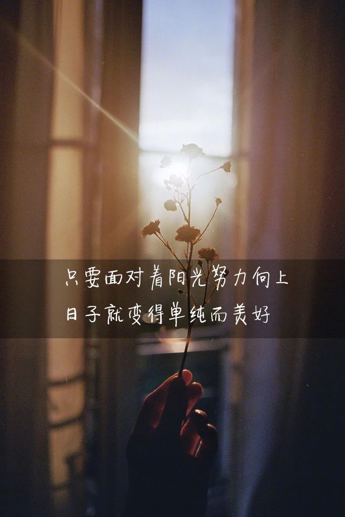 早安正能量句子图片:岁月给我坎坷,我还你乐观要强