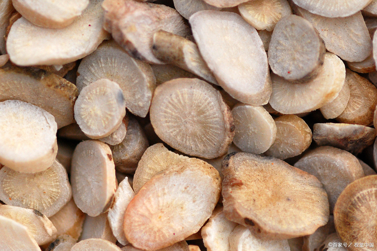 白芍药的功效及临床应用