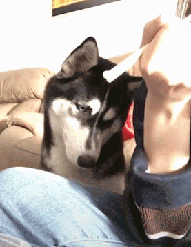 搞笑gif:办公室里,还有这样的机关,妹子好熟练啊!