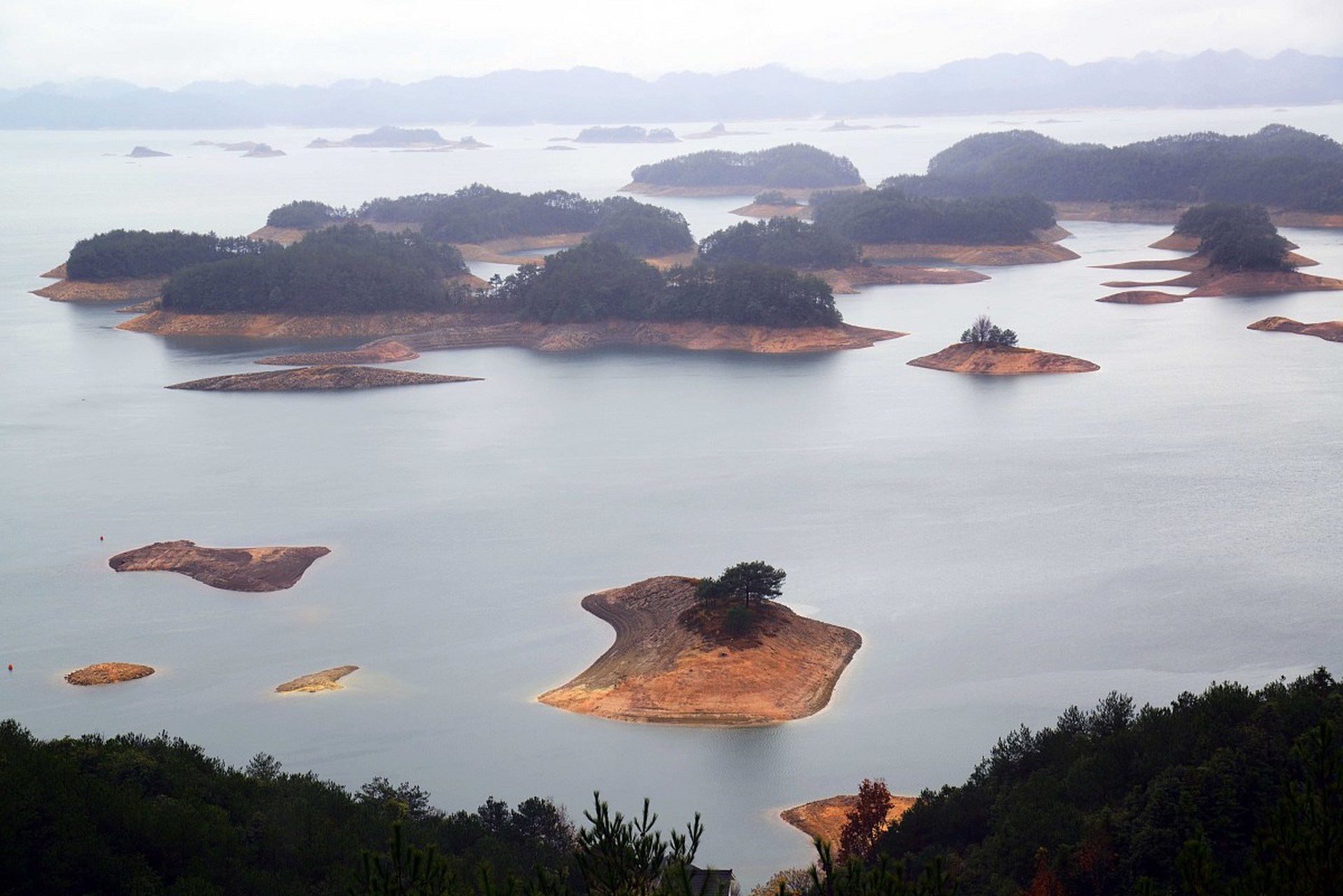 知识创作挑战赛# 桂花岛地处东南湖区,离千岛湖镇16千米,面积120亩因
