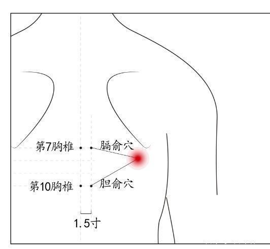 膽俞穴:袪黃利膽,除口苦!