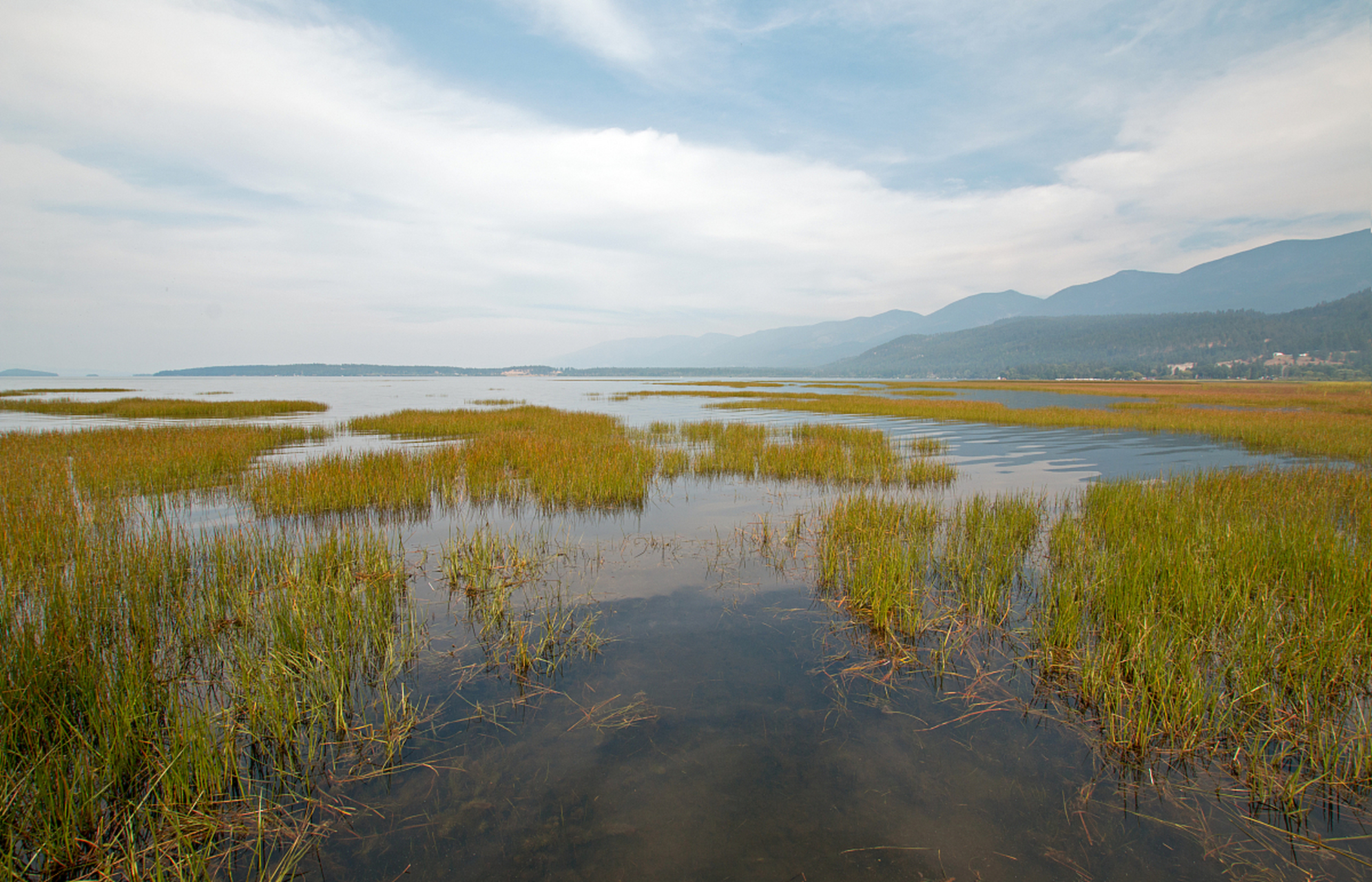 跨年创作挑战赛#  贵州威宁草海旅游景点介绍?