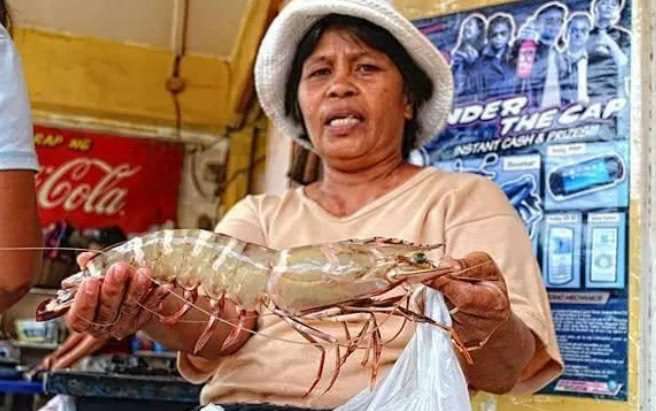 市场这种"巨型变异虾"一只比龙虾还大,知道的人都说傻子才会买