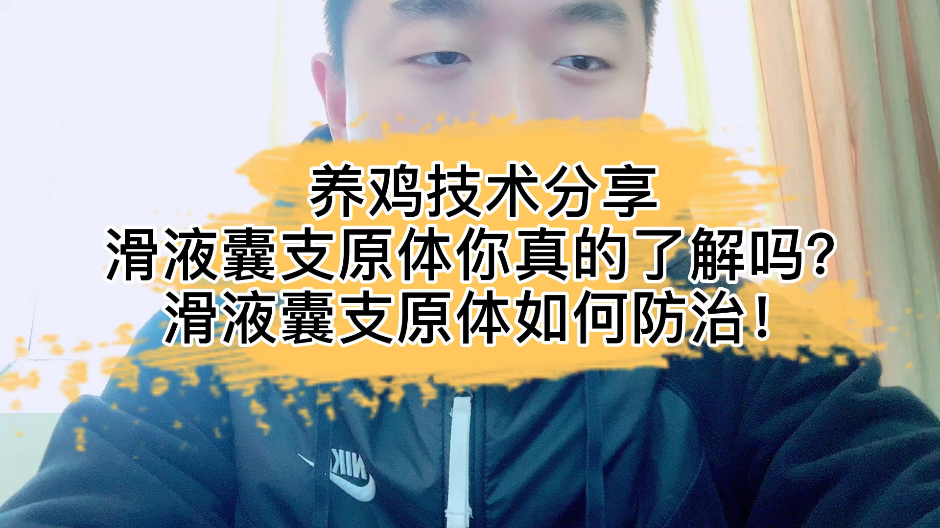 新手养鸡,先弄明白滑液囊支原体,才能把鸡养好