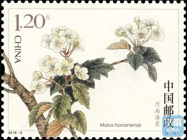 珍珠泉畔的海棠花上了国家名片