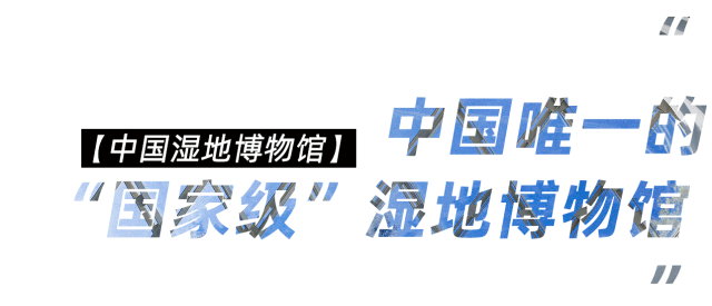 中国湿地博物馆logo图片