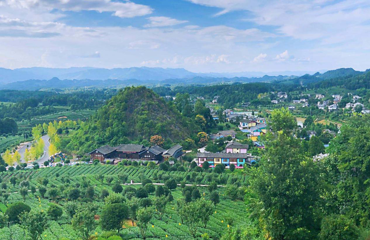 改革的金花村,如何成为富饶的欣欣向荣的新农村