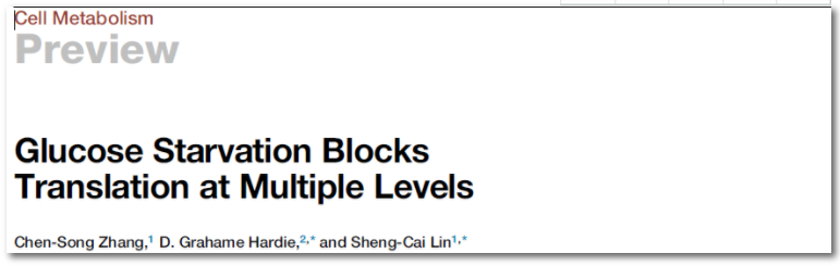 cell网站翻译成中文_cellular翻译