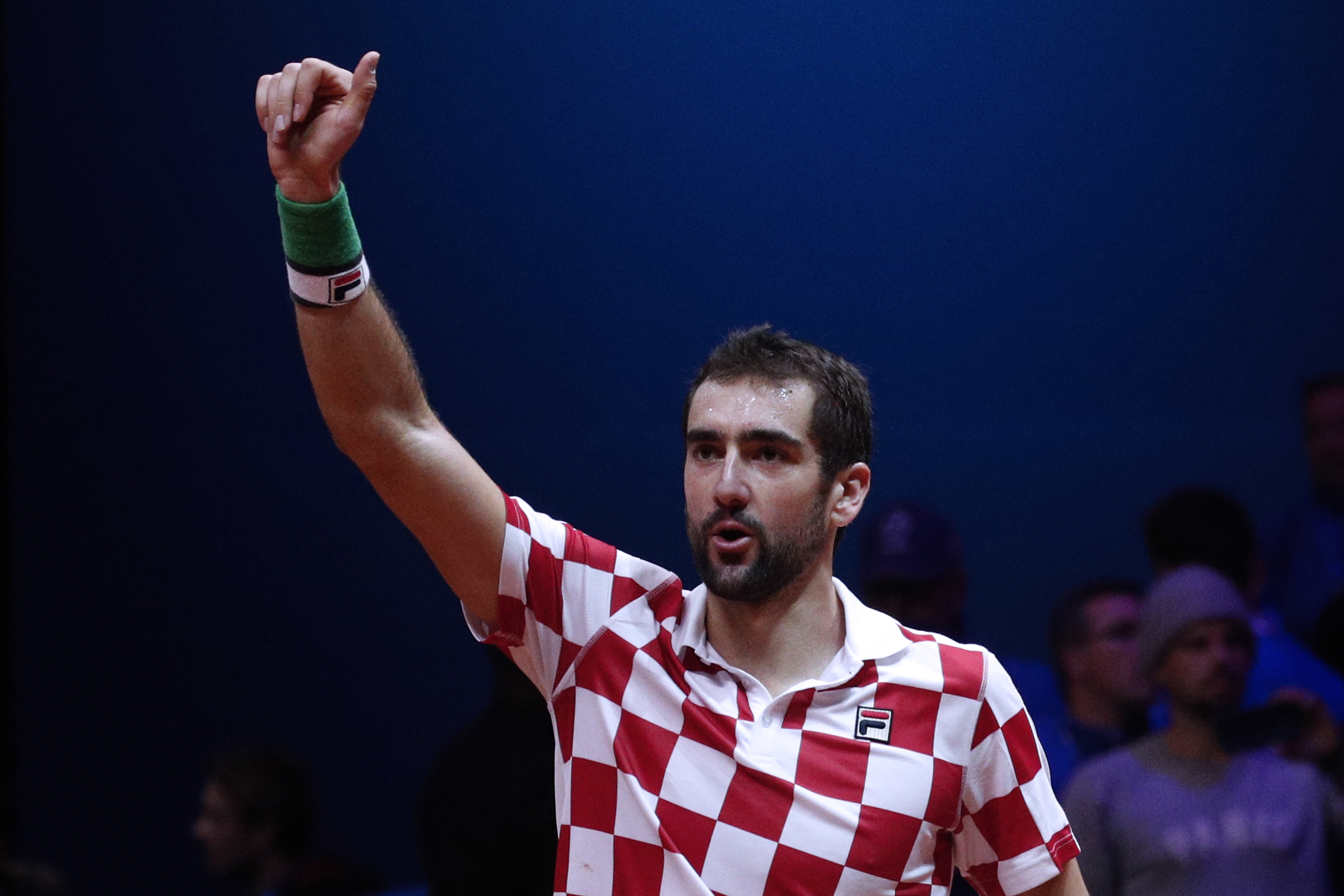 网球——戴维斯杯:克罗地亚队夺冠