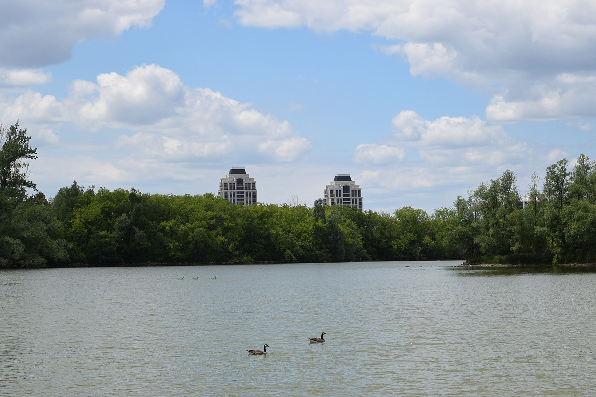 镜头里的春天# 济南的春天是一幅细腻而富有诗意的画卷,玉清湖则收忖