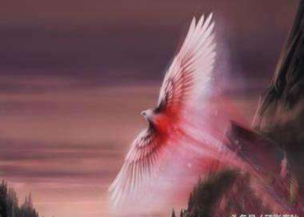 凤育九雏,皆为高贵,只有老幺危害人间,被巫师射杀