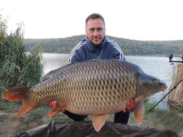 美国泛滥的亚洲鲤鱼好日子这次真的结束了,被消灭只是时间问题