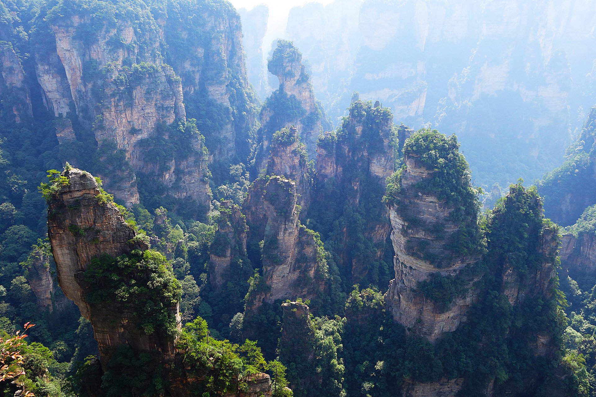 分享图片张家界风景