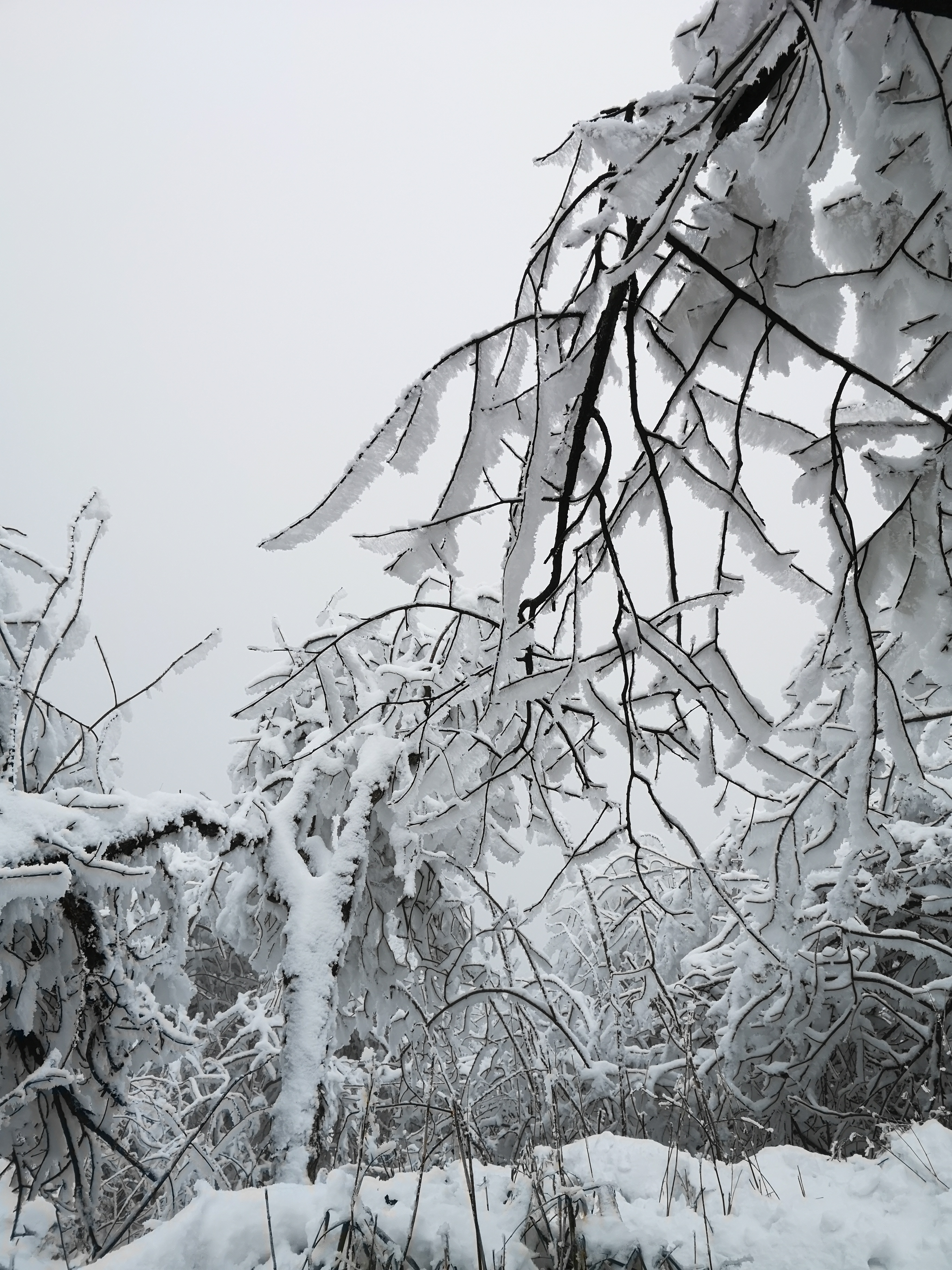 成都户外第一山赵公山雪景分享