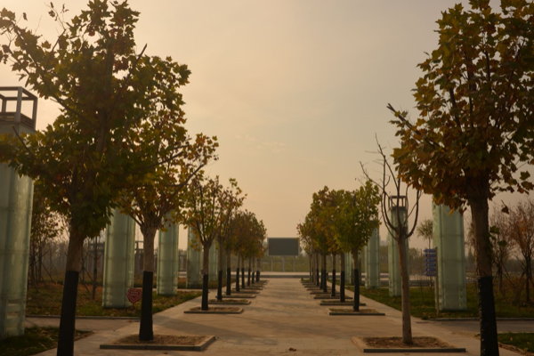 坐落在燕赵大地——河北高阳的颛顼公园,占地面积达到550亩,是国内为