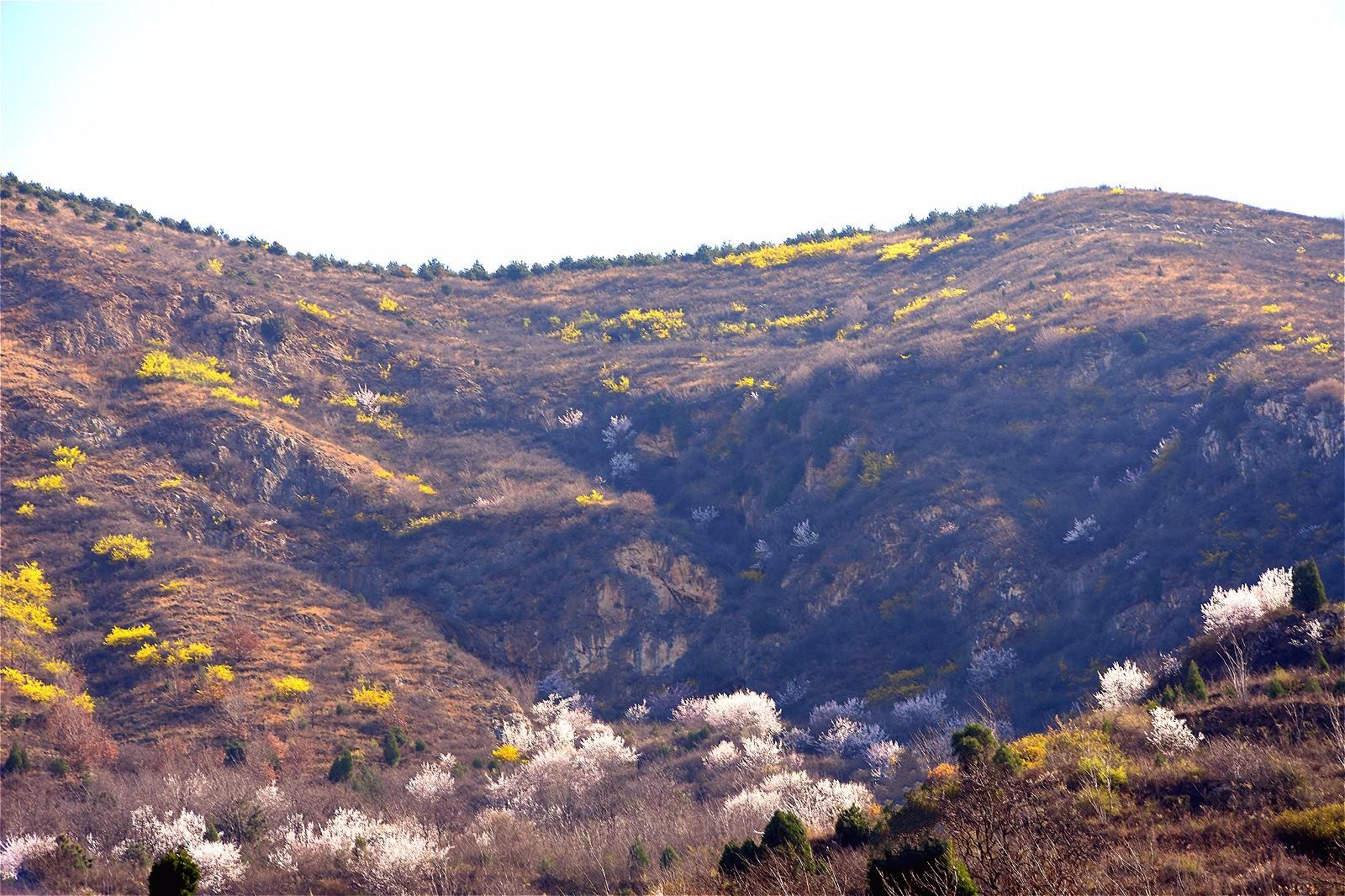风光摄影:辋川之春色