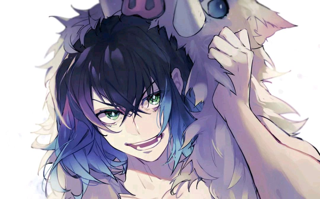 鬼灭之刃:伊之助不是一只猪,是一只珠,加入柱难道被称为猪柱?