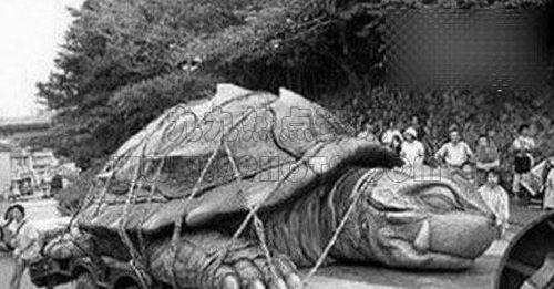 1965年黄河巨龟事件图片