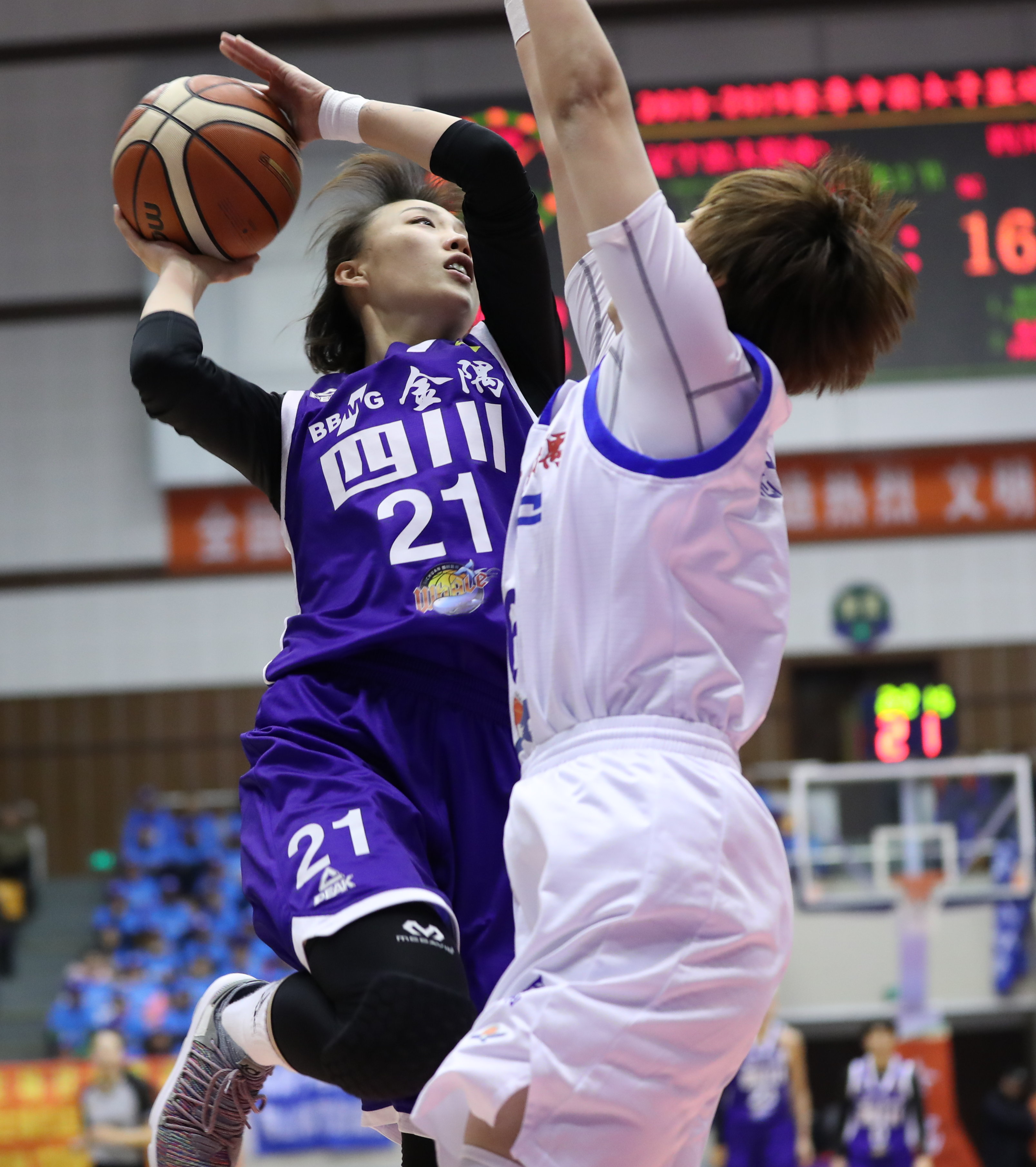 wcba:辽宁忠大铝业胜四川五粮金樽