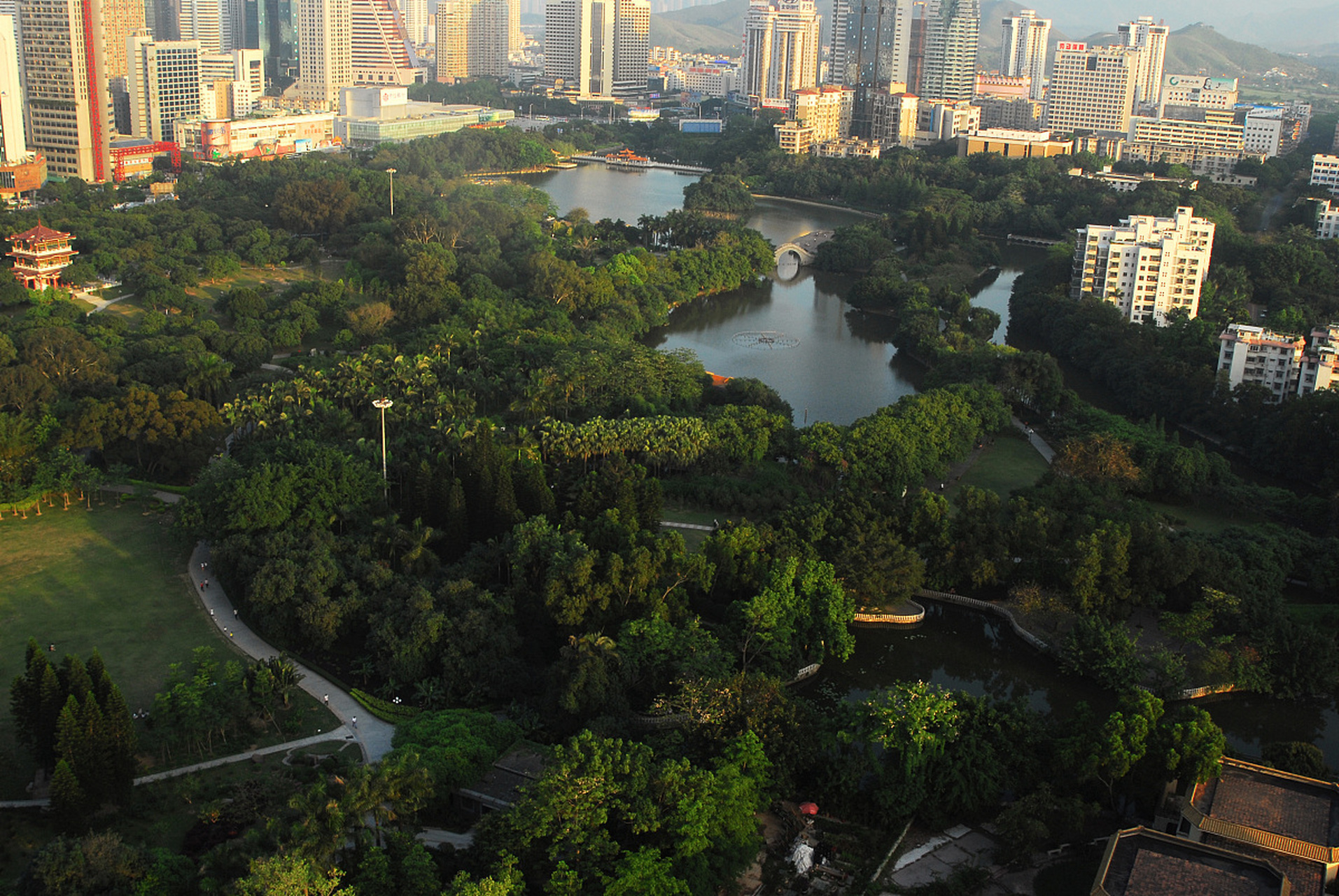 春游深圳平峦山公园,漫步在蜿蜒的步道上,我如同在绿色的乐章中跳跃