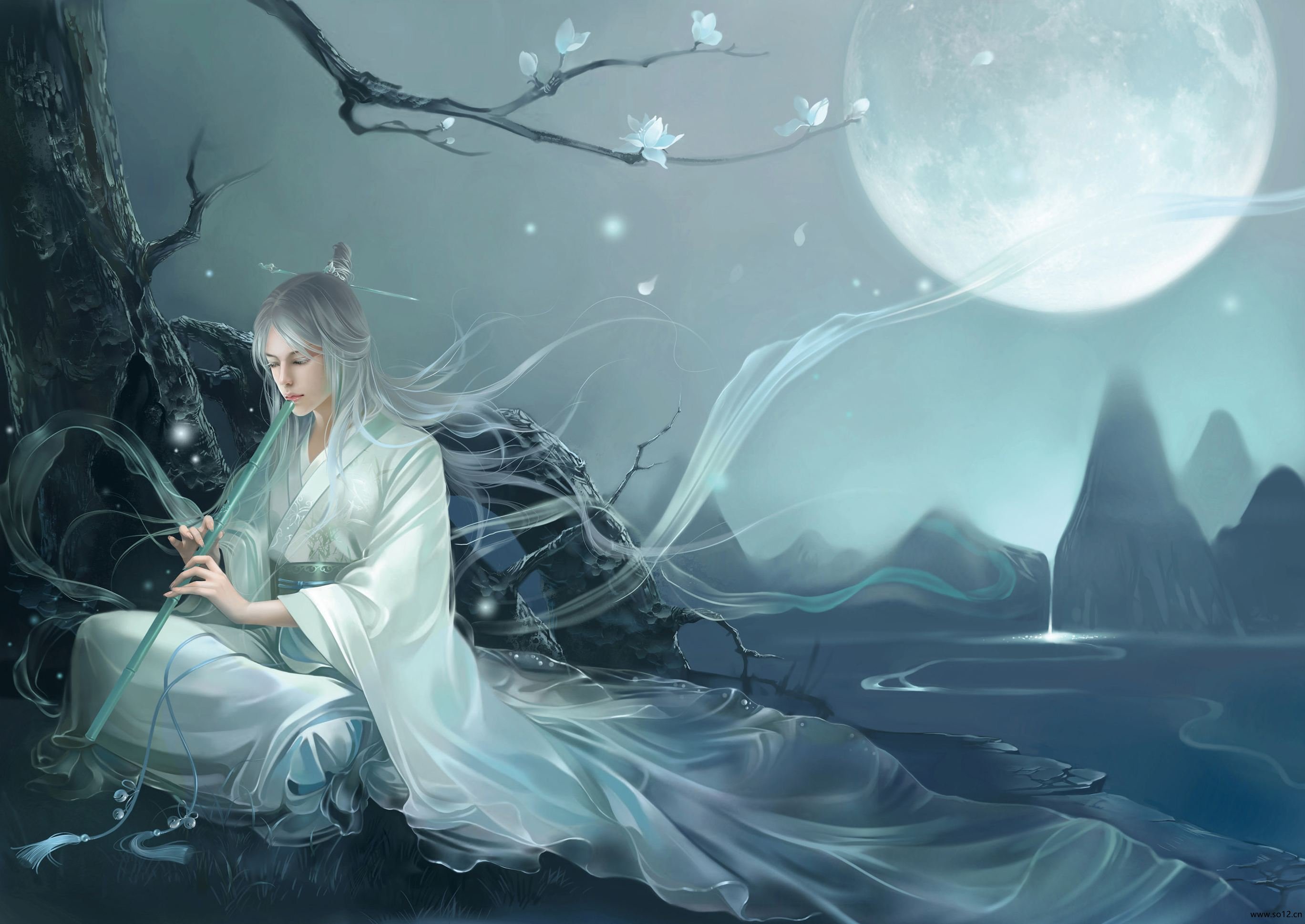《斗罗大陆4终极斗罗》小龙神和霍雨浩孩子成双主角,小舞乐开花